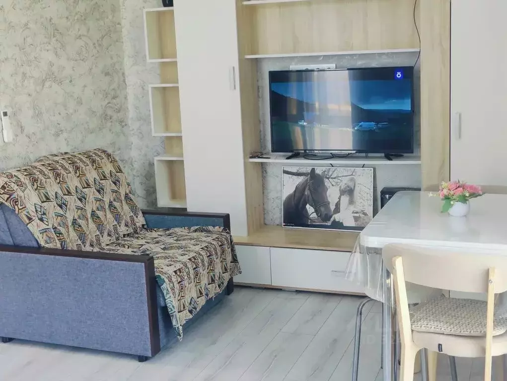 Студия Краснодарский край, Сочи городской округ, с. Молдовка ул. ... - Фото 1