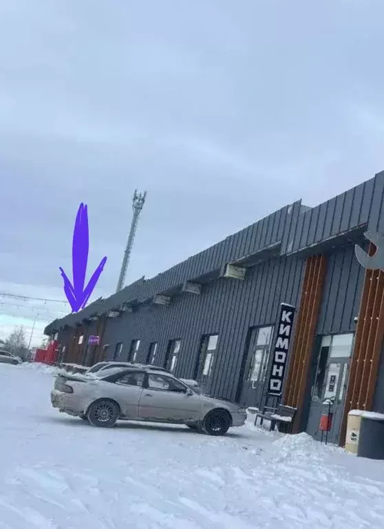 Торговая площадь в Челябинская область, Челябинский городской округ, ... - Фото 1