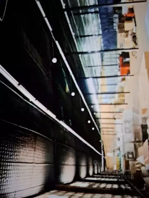 Помещение свободного назначения в Москва Рябиновая ул., 38Бс4 (1842 м) - Фото 2