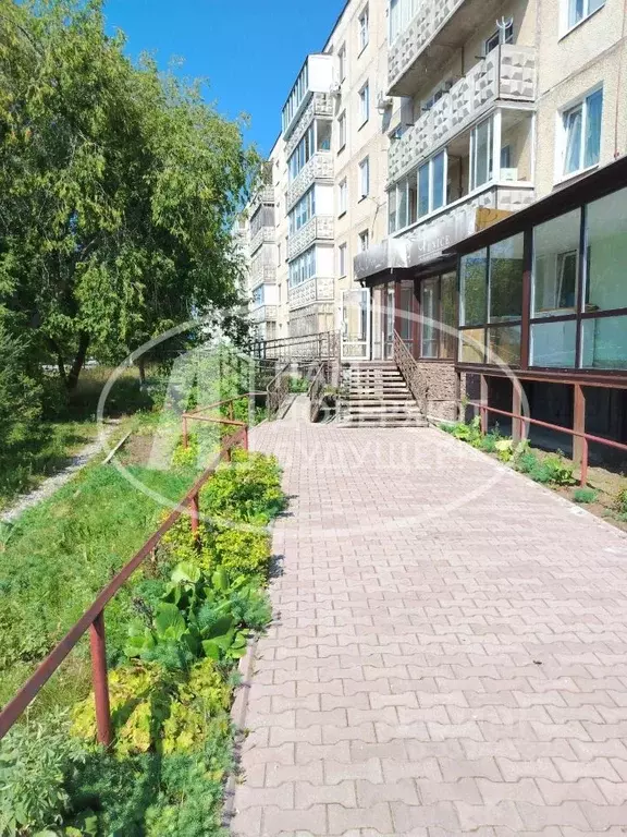 Торговая площадь в Пермский край, Добрянка ул. Победы, 35 (38 м) - Фото 2