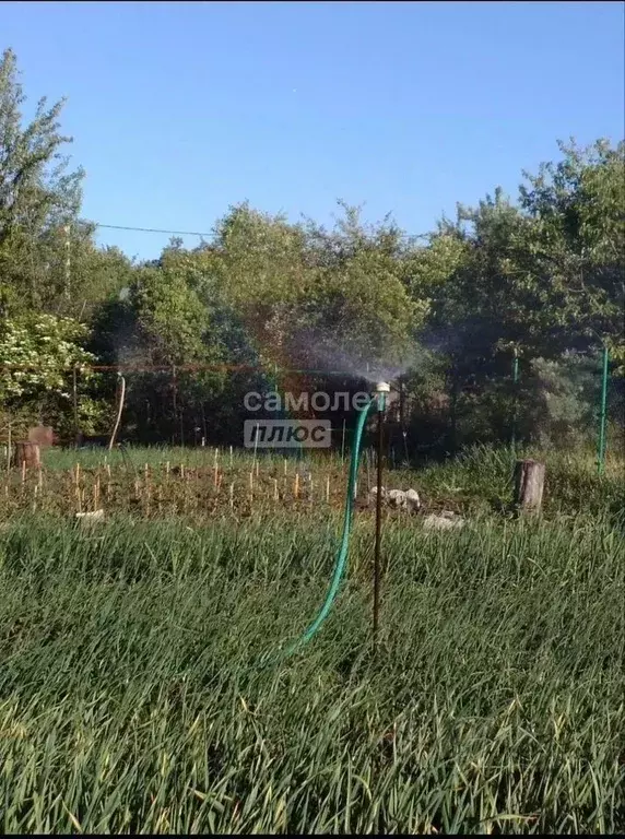 Дом в Липецкая область, Липецк Строитель СТ, 1300 (30 м) - Фото 1