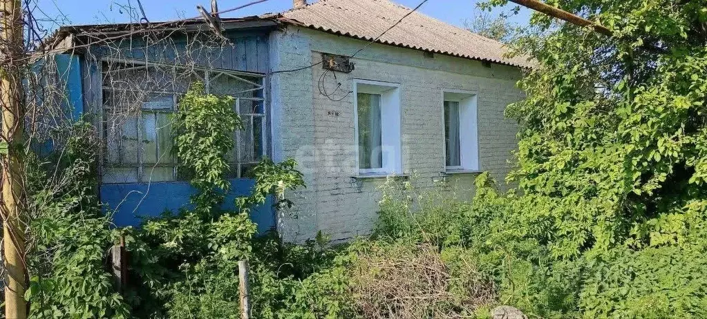 Дом в Белгородская область, Волоконовский район, Погромское с/пос, с. ... - Фото 1