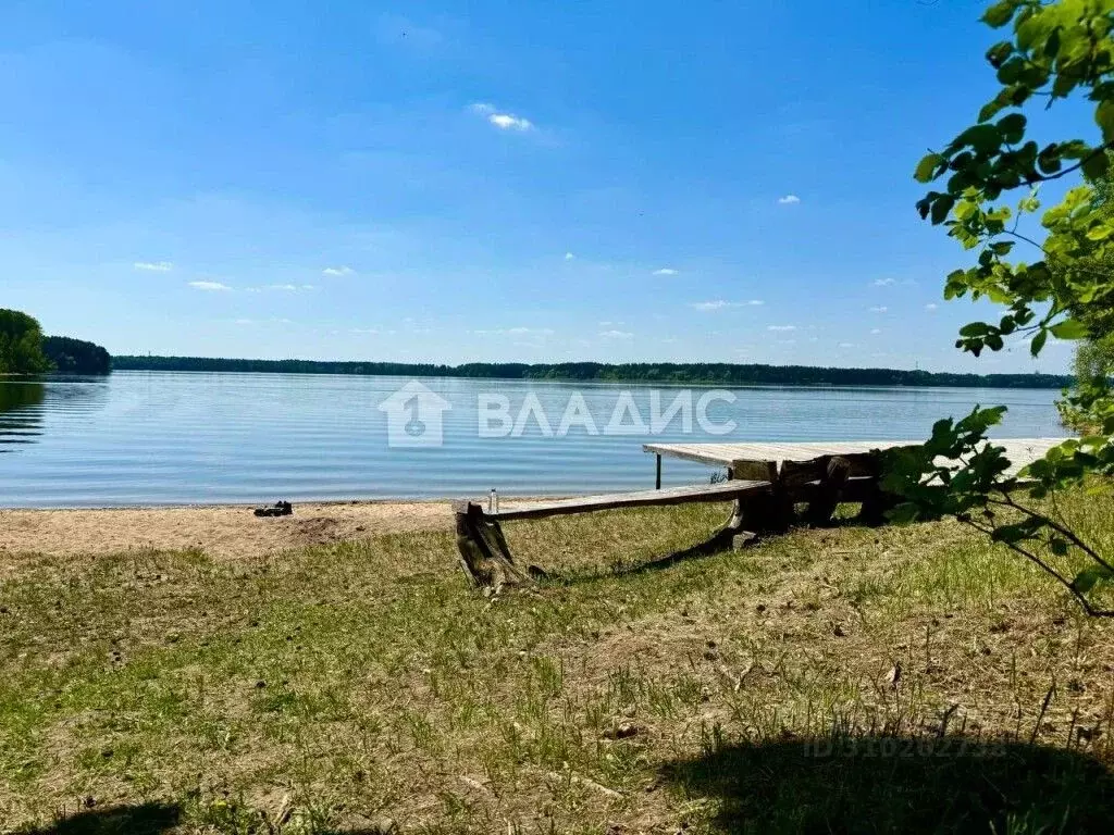 Участок в Московская область, Солнечногорск городской округ, д. ... - Фото 1