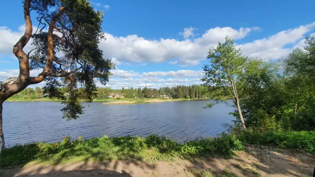 Дом в Ленинградская область, Гатчинский район, Вырица городской ... - Фото 1