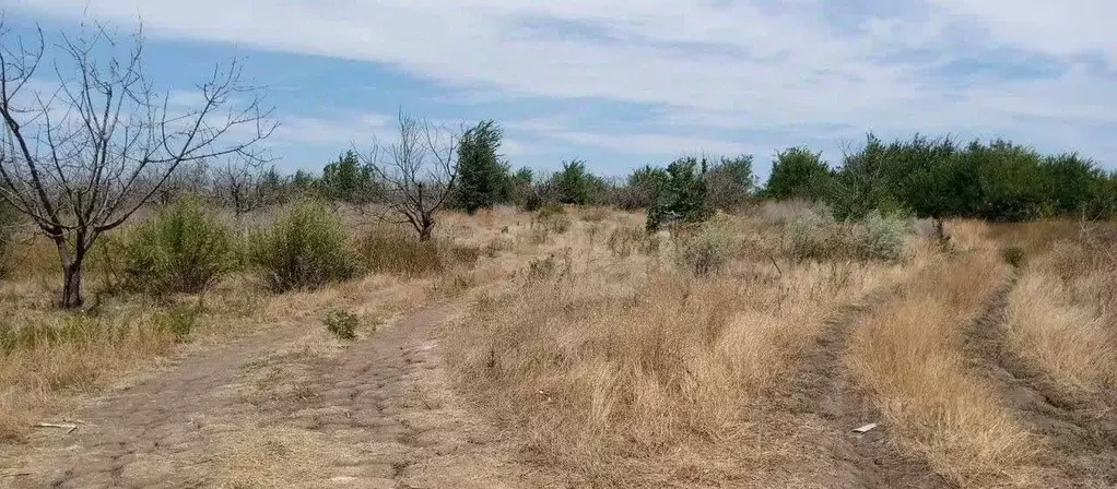 Участок в Ростовская область, Азов Азовский район, ул. Победы (6.0 ... - Фото 1