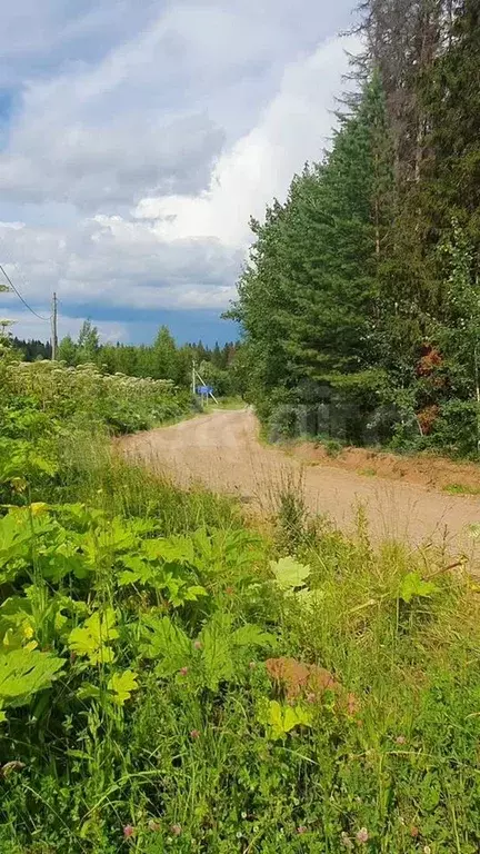 Участок 10 сот. (личное подсобное хозяйство (лпх)) - Фото 0