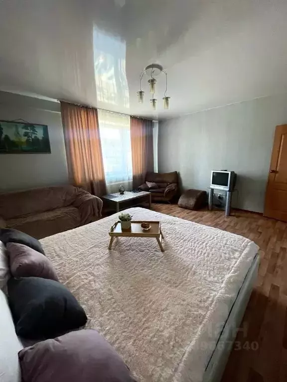 1-к кв. Свердловская область, Екатеринбург ул. Пехотинцев, 3к4 (49.0 ... - Фото 1
