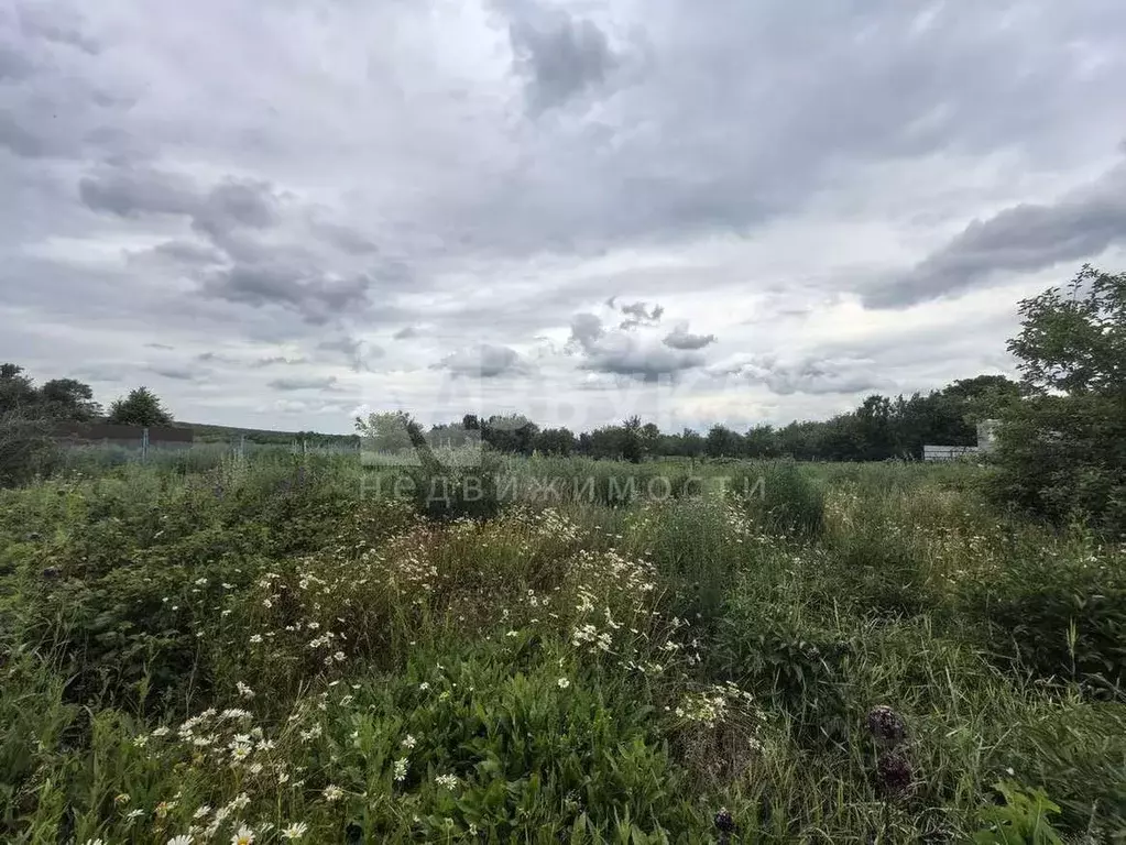 Участок в Воронежская область, Семилукский район, с. Губарево ... - Фото 2
