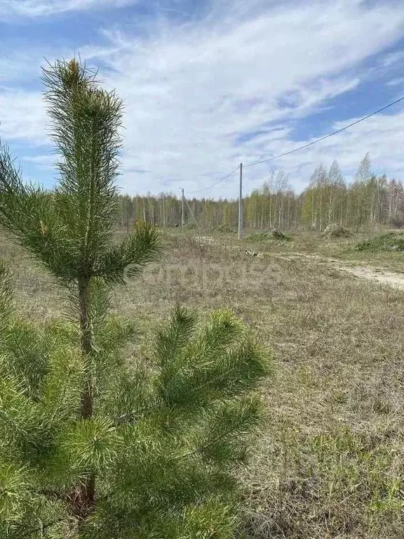 Участок в Тюменская область, Нижнетавдинский район, Сундукуль СНТ  ... - Фото 0