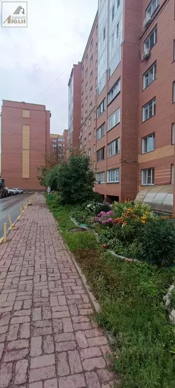 Помещение свободного назначения в Новосибирская область, Новосибирск ... - Фото 2