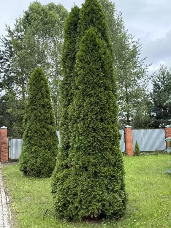 Дом в Тульская область, Тула городской округ, д. Новая Знаменка 56 ... - Фото 0