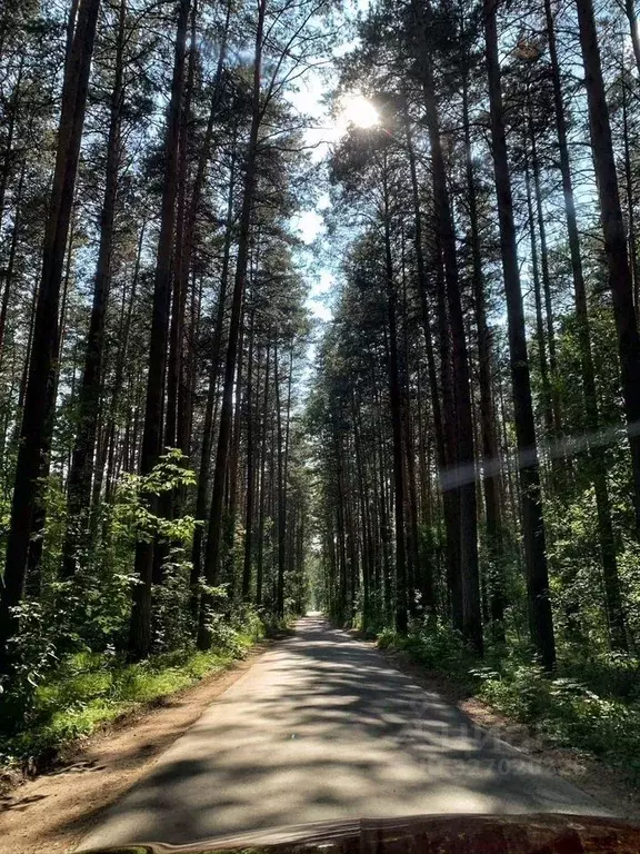 Участок в Новосибирская область, Новосибирск Лесное ш., 1 (12.0 сот.) - Фото 1