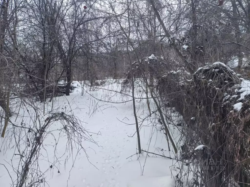 Участок в Белгородская область, Алексеевский муниципальный округ, ... - Фото 2