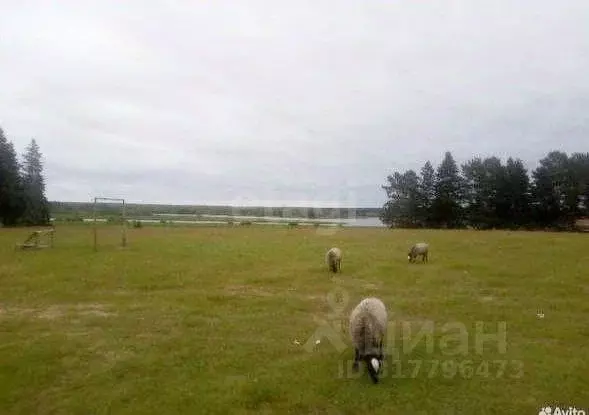 Дом в Пермский край, Ильинский муниципальный округ, пос. Октябрьский ... - Фото 1