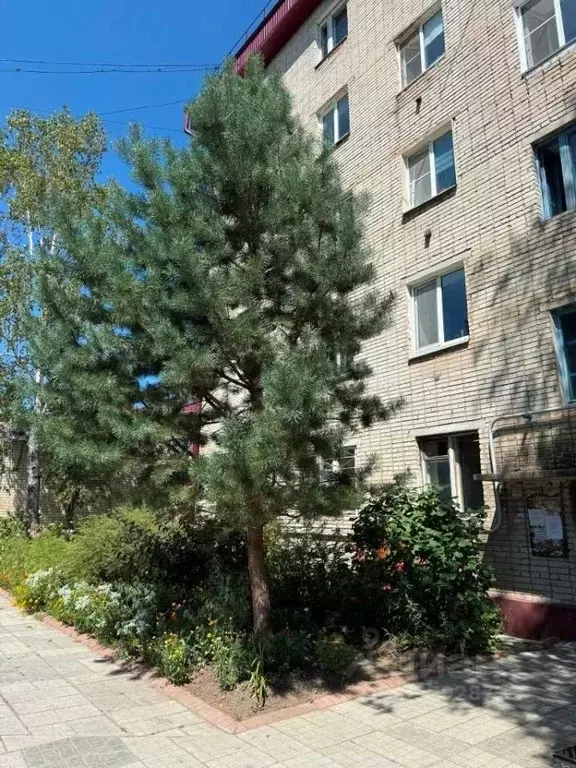 3-к кв. Еврейская автономная область, Смидовичский муниципальный ... - Фото 1