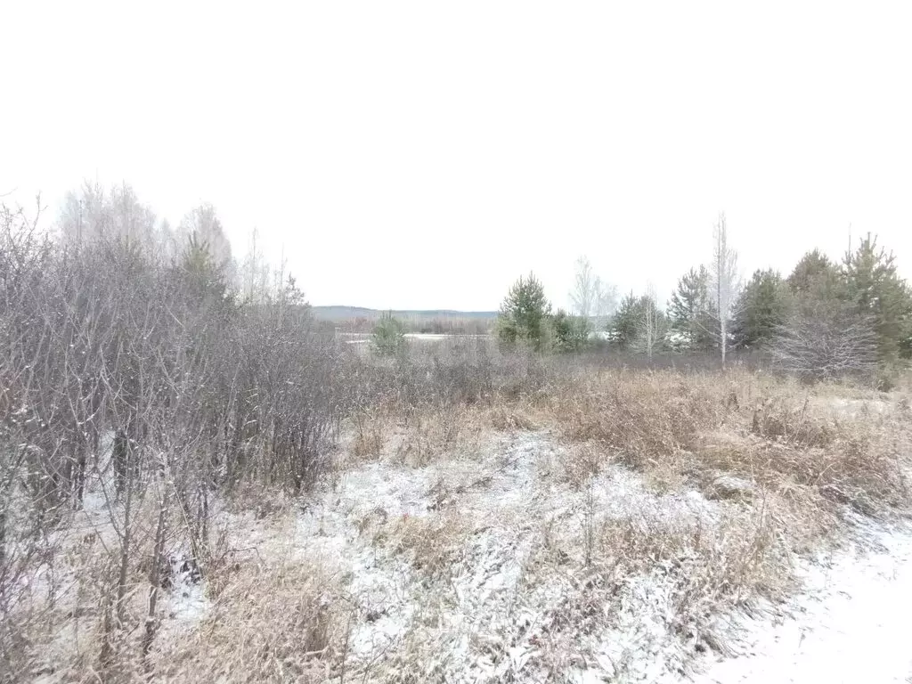 Участок в Миасс, СТ Восход (8 м) - Фото 2
