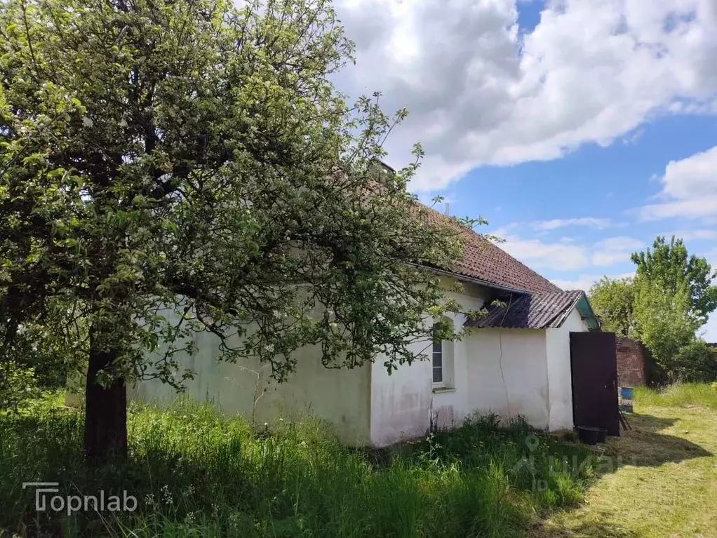Дом в Калининградская область, Полесский муниципальный округ, пос. ... - Фото 1