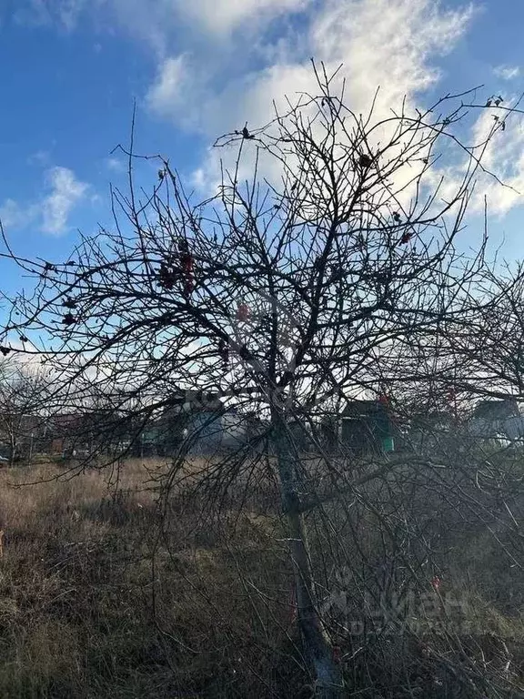 Участок в Воронежская область, Рамонский район, Русскогвоздевское ... - Фото 2