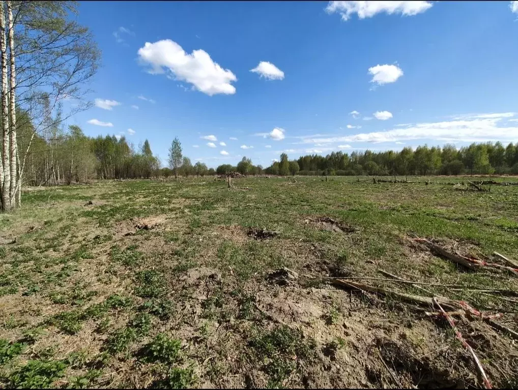 Участок в Нижегородская область, Бор ул. Каштановая (8.0 сот.) - Фото 1
