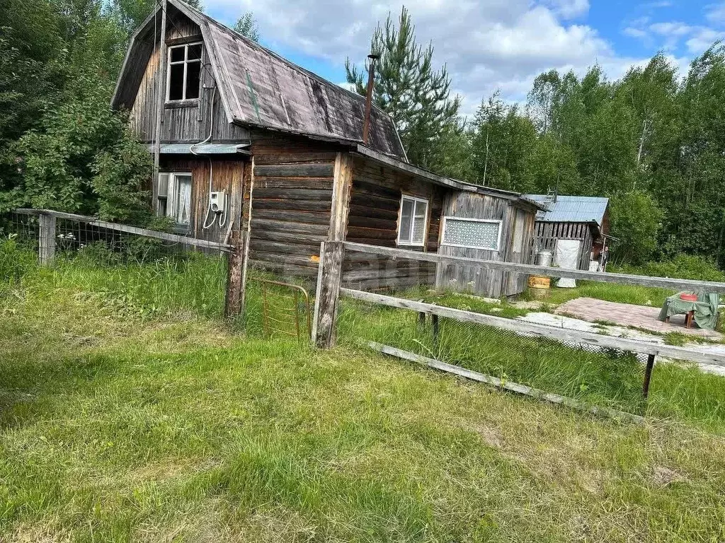 Участок в Коми, Сыктывдинский район, Палевицы муниципальное ... - Фото 1