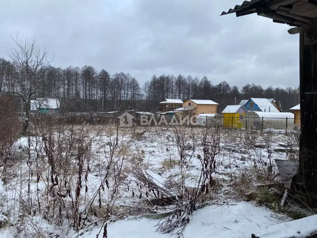 Участок в Владимирская область, Владимир д. Бухолово,  (10.0 сот.) - Фото 1