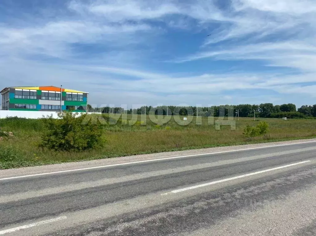 Участок в Калининградская область, Славский муниципальный округ, пос. ... - Фото 1