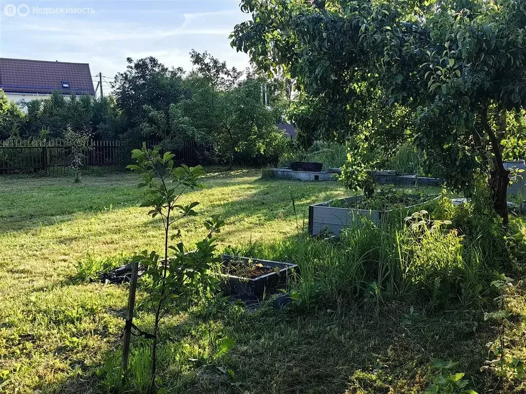 Участок в Калининград, ТСН Искра (5.65 м) - Фото 1