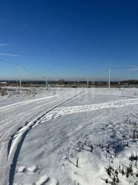 Участок в Вологодская область, пос. Васильевское  (15.0 сот.) - Фото 2
