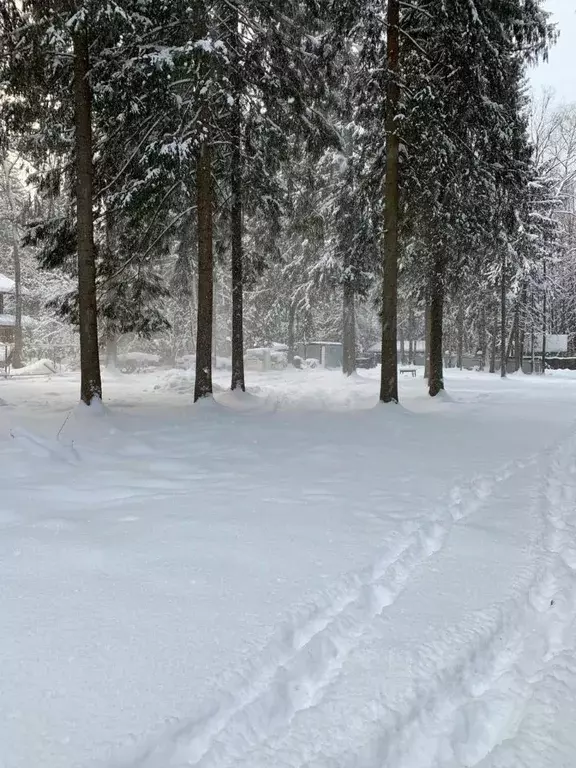 Дом в Московская область, Сергиево-Посадский городской округ, с. ... - Фото 0