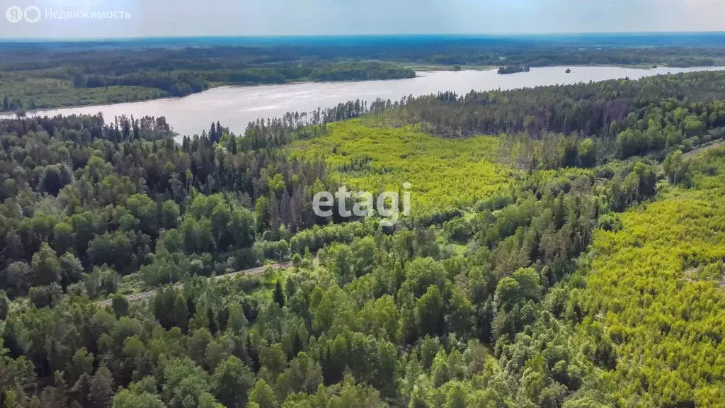 Участок в Севастьяновское сельское поселение, садоводческое ... - Фото 1