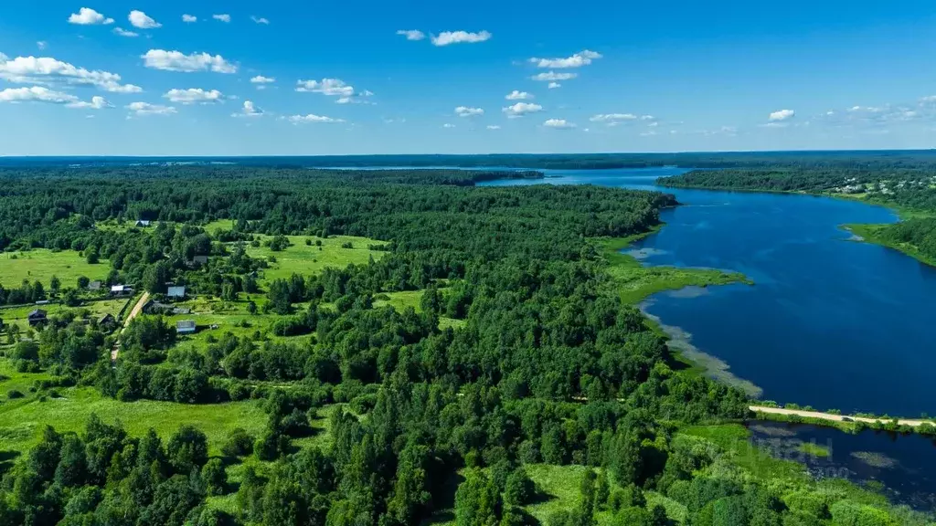 Участок в Тверская область, Селижаровский муниципальный округ, д. ... - Фото 1