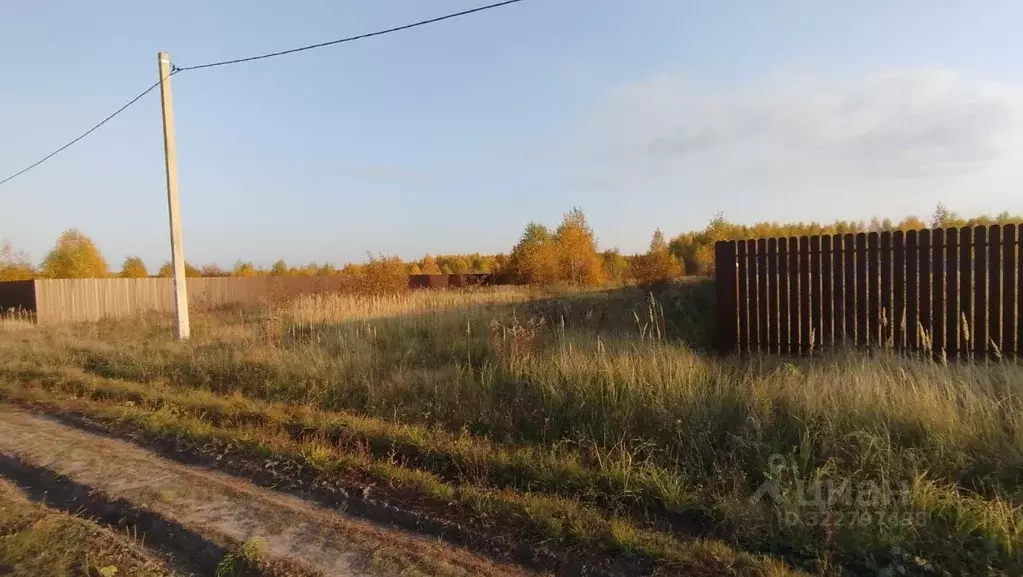 Участок в Тульская область, Веневский муниципальный округ, д. Сетка ... - Фото 2