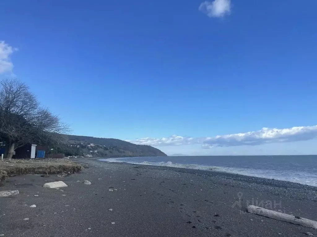 Участок в Крым, Алушта муниципальный округ, с. Приветное ул. Горького, ... - Фото 1