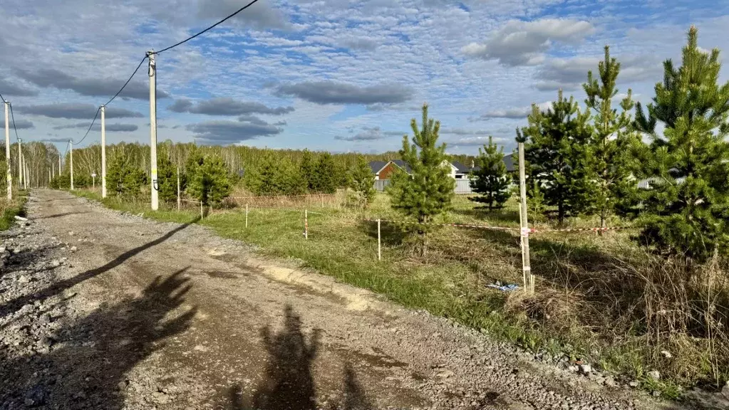 Участок в Тюменская область, Тюменский район, д. Елань, Хвойный кп  ... - Фото 0