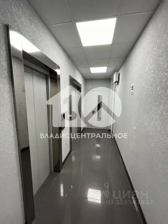 Студия Новосибирская область, Новосибирск Волховская ул., 31 (24.38 м) - Фото 1