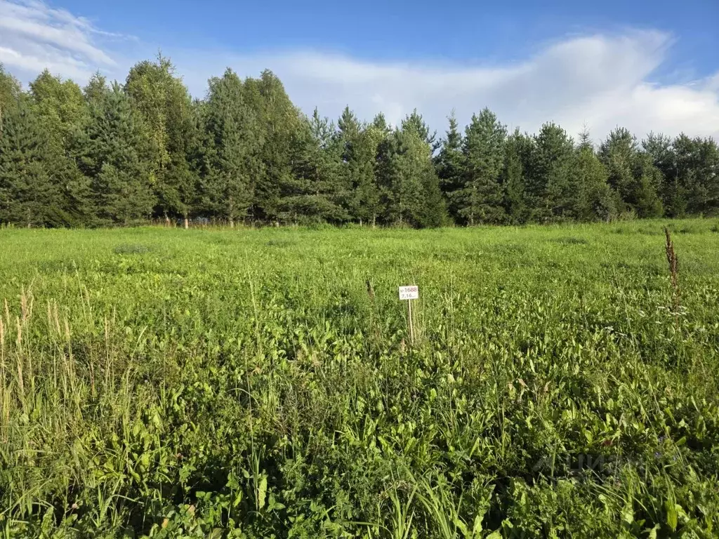 Участок в Московская область, Дмитровский муниципальный округ, д. ... - Фото 2
