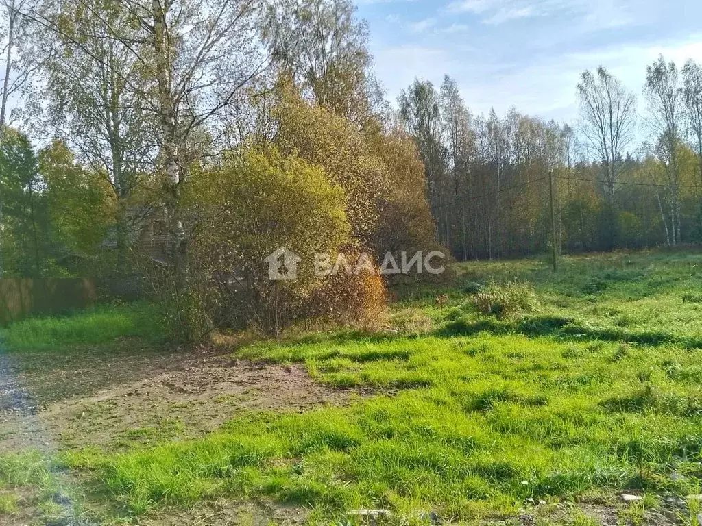 Участок в Ленинградская область, Выборгский район, Каменногорское ... - Фото 0