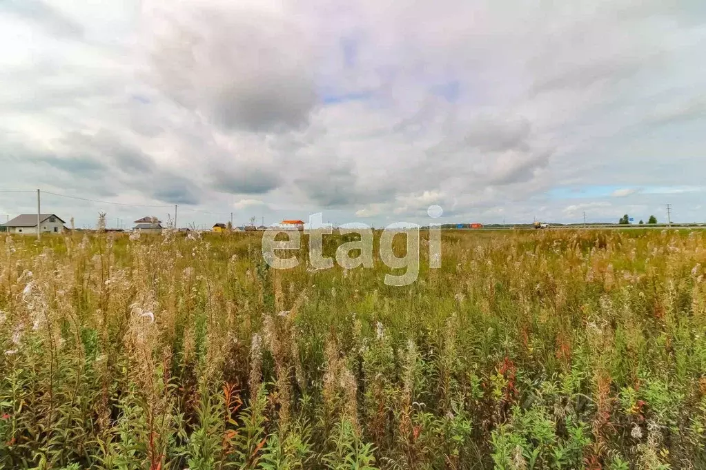 Участок в Тюменская область, Тюменский муниципальный округ, д. Ушакова ... - Фото 1