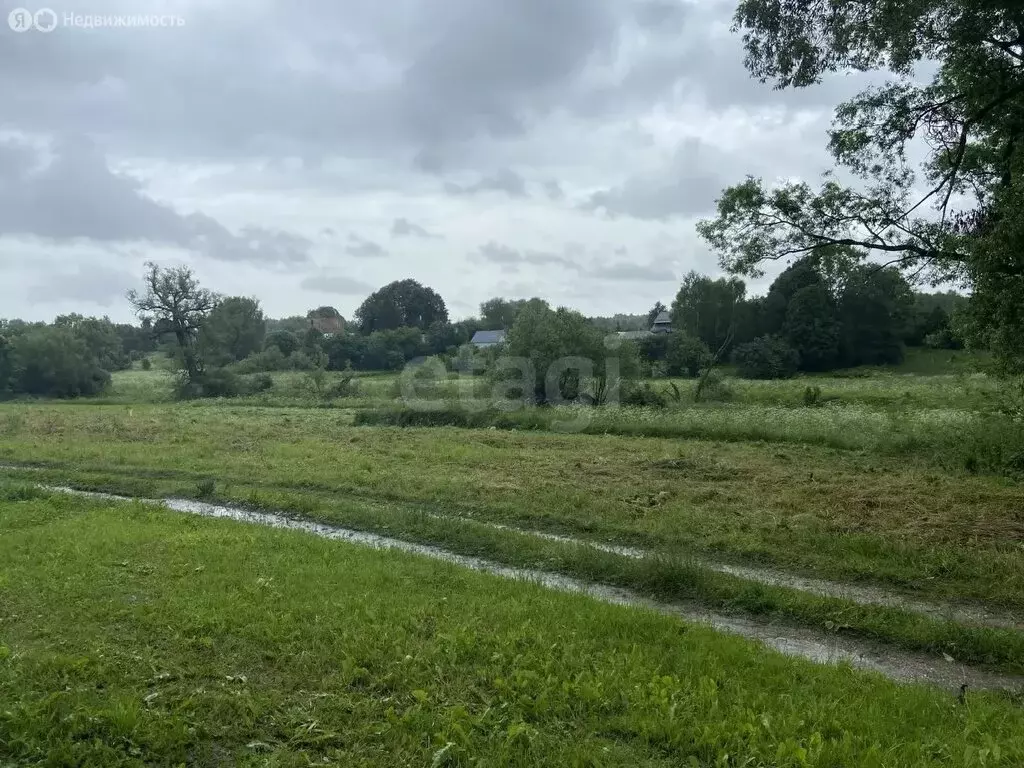 Участок в Щёкинский район, сельское поселение Крапивенское, село ... - Фото 2