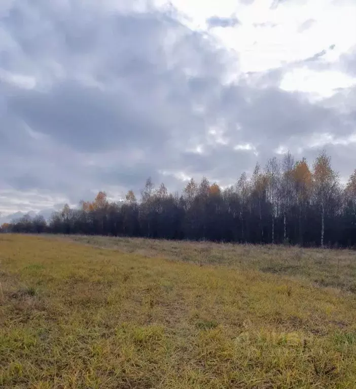 Участок в Московская область, Ступино городской округ, д. Привалово  ... - Фото 0