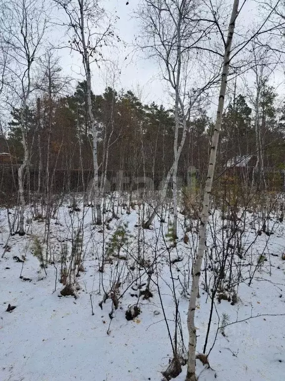 Участок в Саха (Якутия), Якутск ул. Валерия Керемясова (6.62 сот.) - Фото 1
