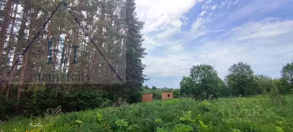 Участок в Московская область, Можайский муниципальный округ, 0070204-1 ... - Фото 1