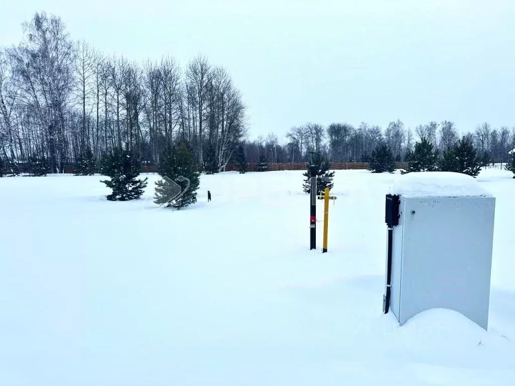 Участок в Тюменская область, Тюменский муниципальный округ, ... - Фото 1