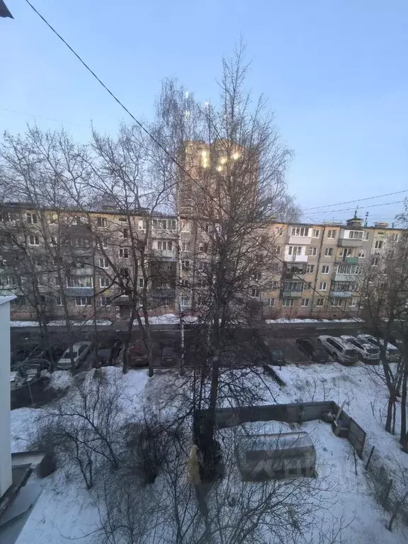 3-к кв. Московская область, Раменский муниципальный округ, Удельная ... - Фото 1