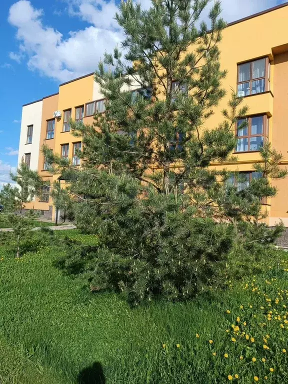 1-к. квартира, 40 м, 1/3 эт. - Фото 1