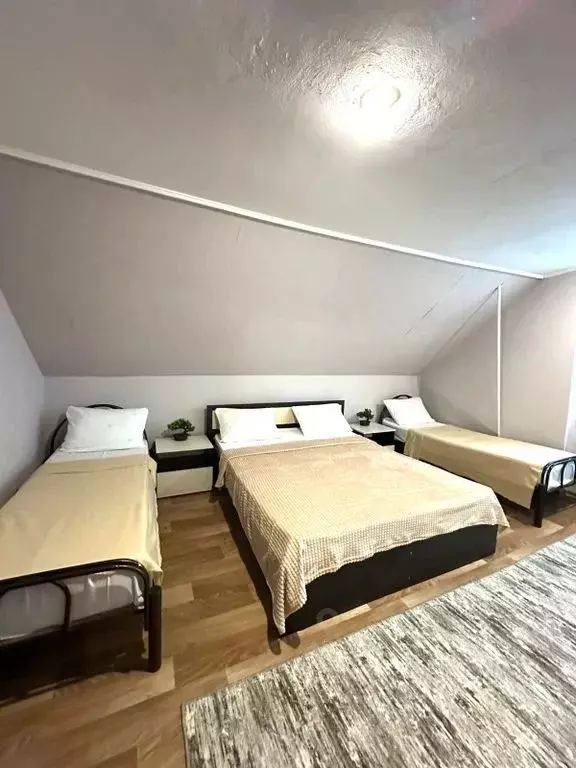 Комната Краснодарский край, Сочи ул. Просвещения, 151Б - Фото 1