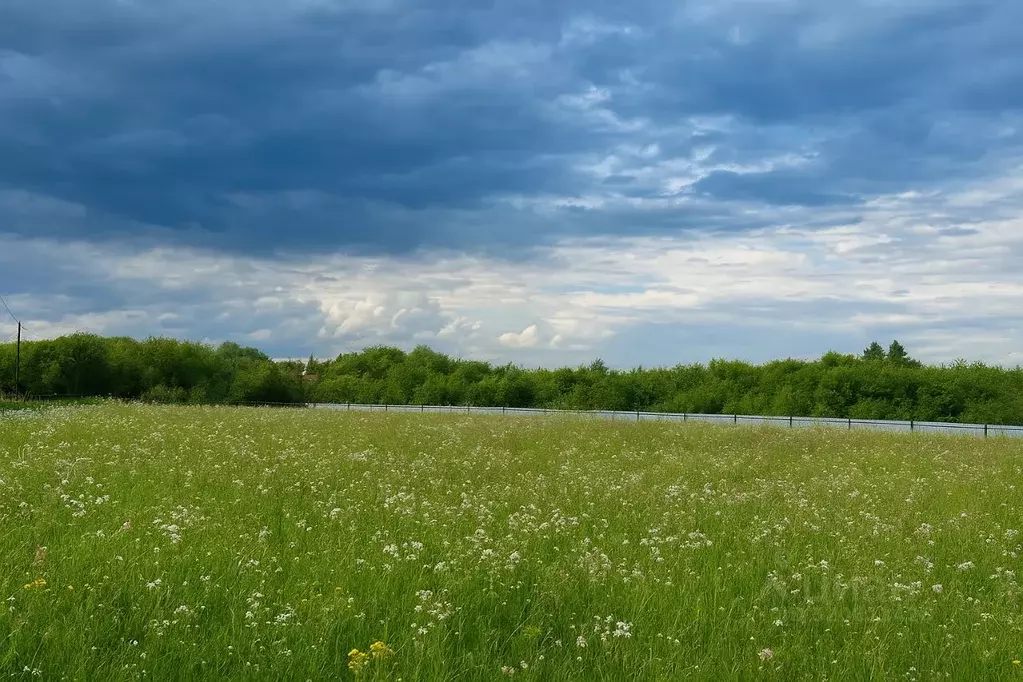 Участок в Красноярский край, Емельяново городское поселение, пос. ... - Фото 1