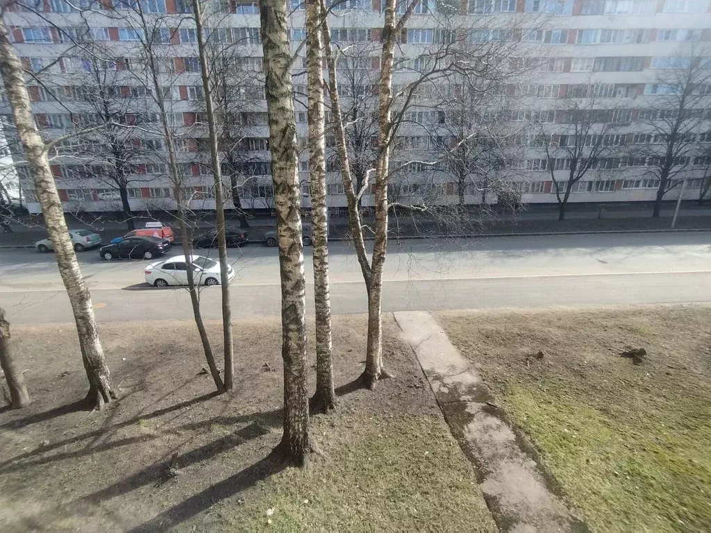 1-к кв. Санкт-Петербург ул. Руднева, 28К1 (32.0 м) - Фото 1