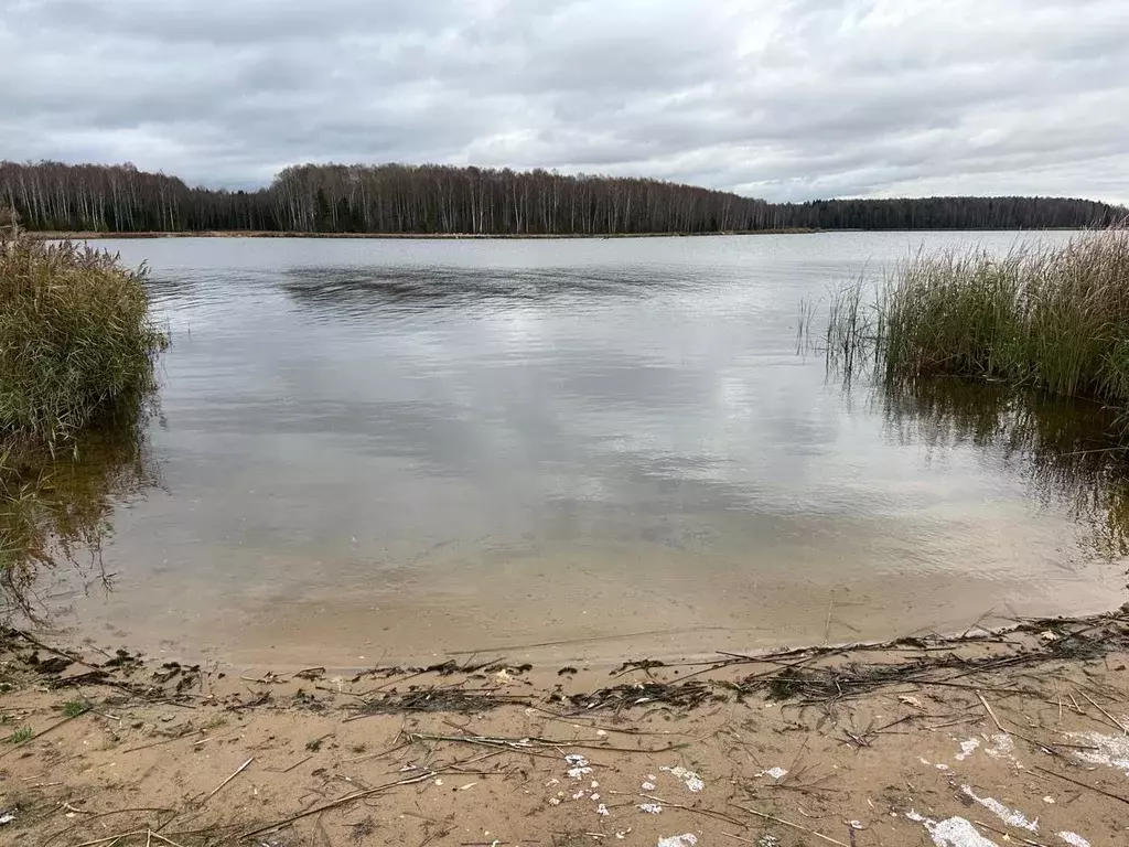 Участок в Тверская область, Конаково Мошковец СНТ, 1-я линия (8.0 ... - Фото 1