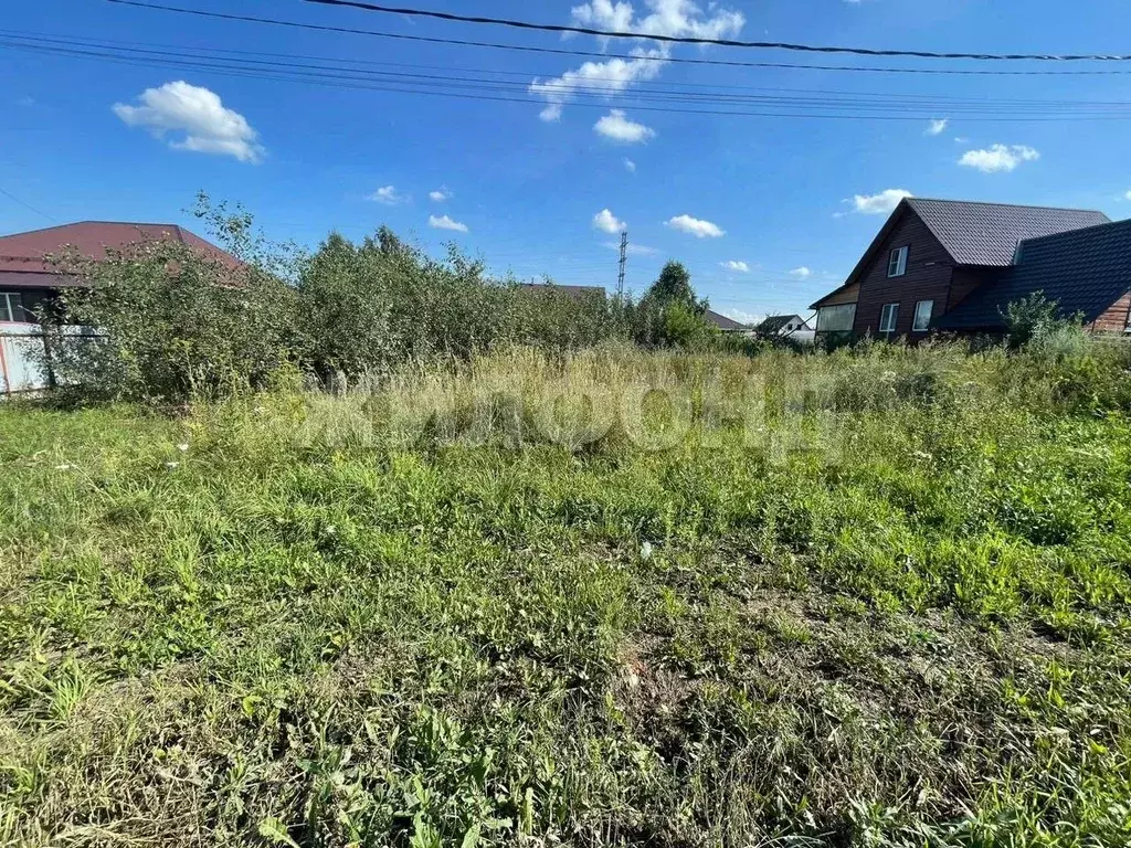 Участок в Новосибирская область, Новосибирский район, с. Толмачево ул. ... - Фото 0
